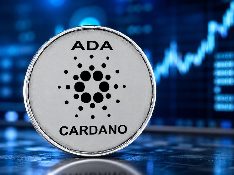 Внимание, подписчики Cardano (ADA): в августе грядут масштабные изменения!
